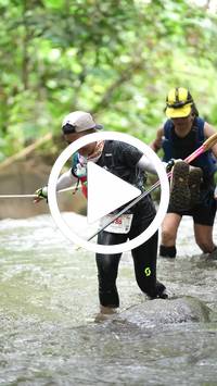 BIB:  <button type="button" onclick="openModal(26820964)" class="btn btn-primary btn-sm float-right" data-toggle="modal" data-target=".modal-high-quality">
                <i class="fa fa-download"></i> Download
                </button>